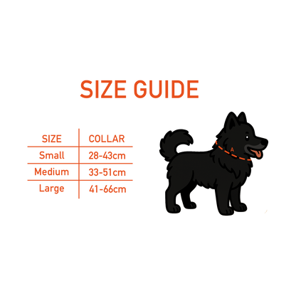 The Ziggy Adjustable Padded Collar | Margot & Bear